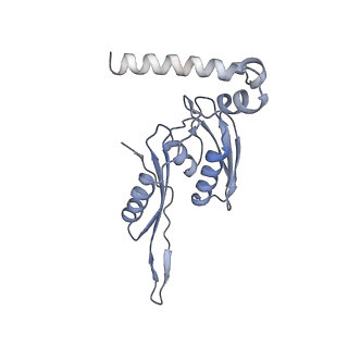 8932_6dzi_m_v1-1
Cryo-EM Structure of Mycobacterium smegmatis 70S C(minus) ribosome 70S-MPY complex