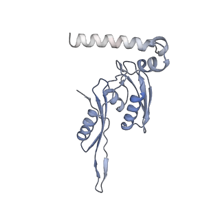 8932_6dzi_m_v1-2
Cryo-EM Structure of Mycobacterium smegmatis 70S C(minus) ribosome 70S-MPY complex