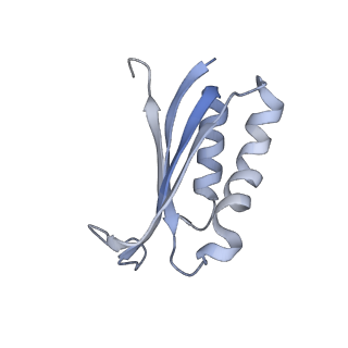8932_6dzi_n_v1-1
Cryo-EM Structure of Mycobacterium smegmatis 70S C(minus) ribosome 70S-MPY complex
