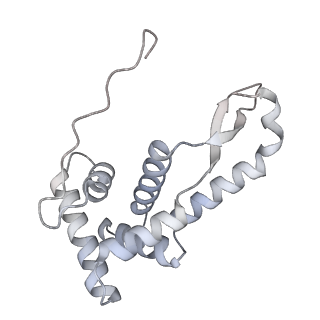 8932_6dzi_p_v1-1
Cryo-EM Structure of Mycobacterium smegmatis 70S C(minus) ribosome 70S-MPY complex