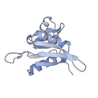 8932_6dzi_q_v1-1
Cryo-EM Structure of Mycobacterium smegmatis 70S C(minus) ribosome 70S-MPY complex