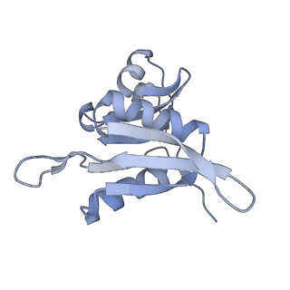8932_6dzi_q_v1-2
Cryo-EM Structure of Mycobacterium smegmatis 70S C(minus) ribosome 70S-MPY complex