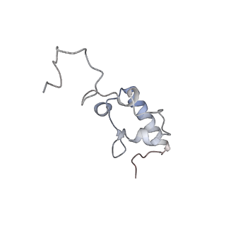 8932_6dzi_r_v1-1
Cryo-EM Structure of Mycobacterium smegmatis 70S C(minus) ribosome 70S-MPY complex