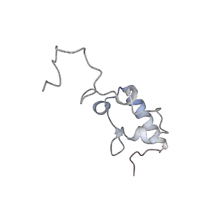 8932_6dzi_r_v1-2
Cryo-EM Structure of Mycobacterium smegmatis 70S C(minus) ribosome 70S-MPY complex