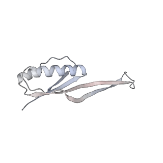 8932_6dzi_s_v1-2
Cryo-EM Structure of Mycobacterium smegmatis 70S C(minus) ribosome 70S-MPY complex