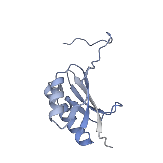 8932_6dzi_t_v1-1
Cryo-EM Structure of Mycobacterium smegmatis 70S C(minus) ribosome 70S-MPY complex