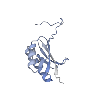 8932_6dzi_t_v1-2
Cryo-EM Structure of Mycobacterium smegmatis 70S C(minus) ribosome 70S-MPY complex