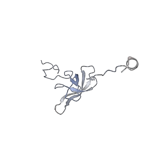 8932_6dzi_u_v1-1
Cryo-EM Structure of Mycobacterium smegmatis 70S C(minus) ribosome 70S-MPY complex