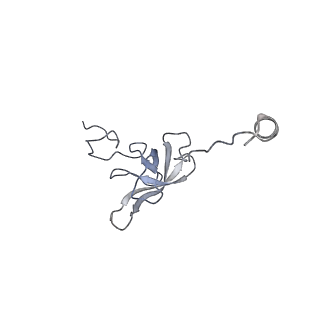 8932_6dzi_u_v1-2
Cryo-EM Structure of Mycobacterium smegmatis 70S C(minus) ribosome 70S-MPY complex