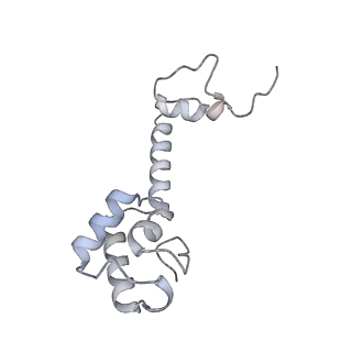 8932_6dzi_v_v1-1
Cryo-EM Structure of Mycobacterium smegmatis 70S C(minus) ribosome 70S-MPY complex