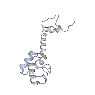 8932_6dzi_v_v1-2
Cryo-EM Structure of Mycobacterium smegmatis 70S C(minus) ribosome 70S-MPY complex