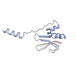 8932_6dzi_z_v1-1
Cryo-EM Structure of Mycobacterium smegmatis 70S C(minus) ribosome 70S-MPY complex