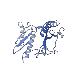 8934_6dzk_C_v1-2
Cryo-EM Structure of Mycobacterium smegmatis C(minus) 30S ribosomal subunit with MPY