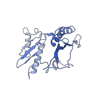 8934_6dzk_C_v1-3
Cryo-EM Structure of Mycobacterium smegmatis C(minus) 30S ribosomal subunit with MPY