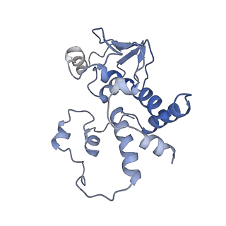 8934_6dzk_D_v1-2
Cryo-EM Structure of Mycobacterium smegmatis C(minus) 30S ribosomal subunit with MPY