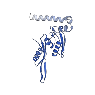 8934_6dzk_E_v1-2
Cryo-EM Structure of Mycobacterium smegmatis C(minus) 30S ribosomal subunit with MPY