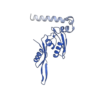 8934_6dzk_E_v1-3
Cryo-EM Structure of Mycobacterium smegmatis C(minus) 30S ribosomal subunit with MPY