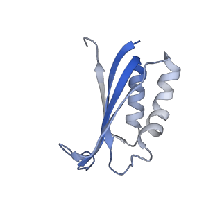 8934_6dzk_F_v1-3
Cryo-EM Structure of Mycobacterium smegmatis C(minus) 30S ribosomal subunit with MPY