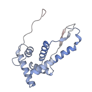 8934_6dzk_G_v1-2
Cryo-EM Structure of Mycobacterium smegmatis C(minus) 30S ribosomal subunit with MPY