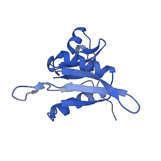 8934_6dzk_H_v1-2
Cryo-EM Structure of Mycobacterium smegmatis C(minus) 30S ribosomal subunit with MPY