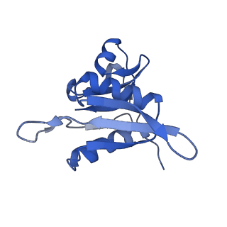 8934_6dzk_H_v1-3
Cryo-EM Structure of Mycobacterium smegmatis C(minus) 30S ribosomal subunit with MPY