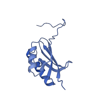 8934_6dzk_K_v1-2
Cryo-EM Structure of Mycobacterium smegmatis C(minus) 30S ribosomal subunit with MPY