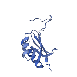 8934_6dzk_K_v1-3
Cryo-EM Structure of Mycobacterium smegmatis C(minus) 30S ribosomal subunit with MPY