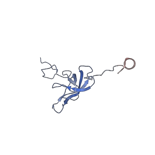 8934_6dzk_L_v1-2
Cryo-EM Structure of Mycobacterium smegmatis C(minus) 30S ribosomal subunit with MPY