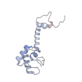 8934_6dzk_M_v1-3
Cryo-EM Structure of Mycobacterium smegmatis C(minus) 30S ribosomal subunit with MPY