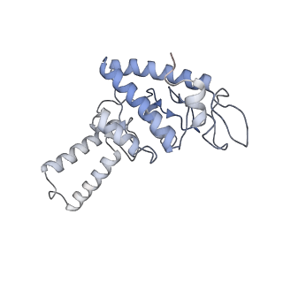 8934_6dzk_V_v1-3
Cryo-EM Structure of Mycobacterium smegmatis C(minus) 30S ribosomal subunit with MPY
