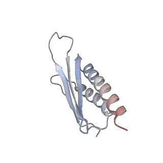 8934_6dzk_Y_v1-2
Cryo-EM Structure of Mycobacterium smegmatis C(minus) 30S ribosomal subunit with MPY