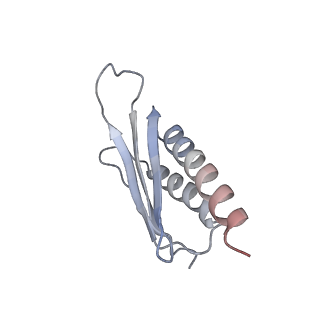 8934_6dzk_Y_v1-3
Cryo-EM Structure of Mycobacterium smegmatis C(minus) 30S ribosomal subunit with MPY