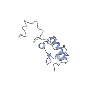 8934_6dzk_r_v1-2
Cryo-EM Structure of Mycobacterium smegmatis C(minus) 30S ribosomal subunit with MPY