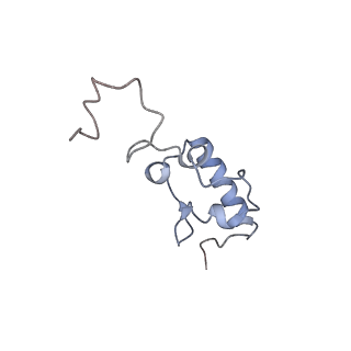 8934_6dzk_r_v1-3
Cryo-EM Structure of Mycobacterium smegmatis C(minus) 30S ribosomal subunit with MPY