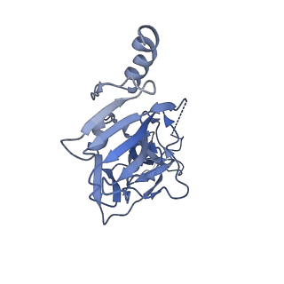 8935_6dzl_A_v1-2
Ebola virus Makona variant GP (mucin-deleted) in complex with pan-ebolavirus human antibody ADI-15878 Fab