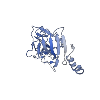 8935_6dzl_C_v1-2
Ebola virus Makona variant GP (mucin-deleted) in complex with pan-ebolavirus human antibody ADI-15878 Fab
