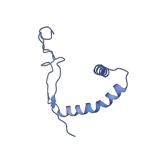 8935_6dzl_E_v1-2
Ebola virus Makona variant GP (mucin-deleted) in complex with pan-ebolavirus human antibody ADI-15878 Fab