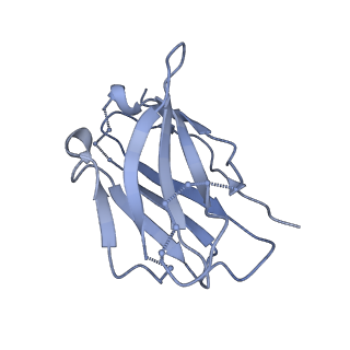 8935_6dzl_I_v1-2
Ebola virus Makona variant GP (mucin-deleted) in complex with pan-ebolavirus human antibody ADI-15878 Fab