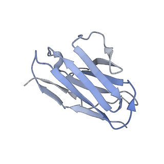 8935_6dzl_J_v1-2
Ebola virus Makona variant GP (mucin-deleted) in complex with pan-ebolavirus human antibody ADI-15878 Fab