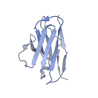 8935_6dzl_K_v1-2
Ebola virus Makona variant GP (mucin-deleted) in complex with pan-ebolavirus human antibody ADI-15878 Fab