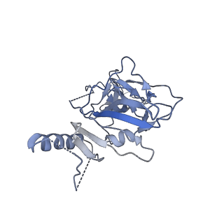 8936_6dzm_A_v1-2
Bundibugyo virus GP (mucin-deleted) in complex with pan-ebolavirus human antibody ADI-15878 Fab