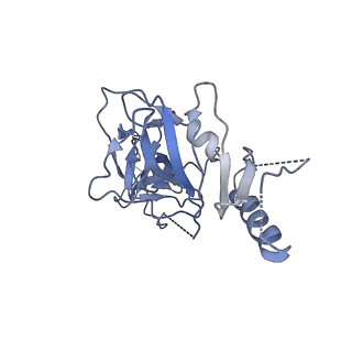 8936_6dzm_B_v1-2
Bundibugyo virus GP (mucin-deleted) in complex with pan-ebolavirus human antibody ADI-15878 Fab