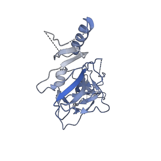 8936_6dzm_C_v1-2
Bundibugyo virus GP (mucin-deleted) in complex with pan-ebolavirus human antibody ADI-15878 Fab