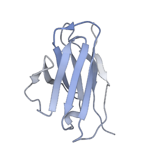 8936_6dzm_H_v1-2
Bundibugyo virus GP (mucin-deleted) in complex with pan-ebolavirus human antibody ADI-15878 Fab
