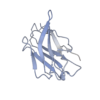 8936_6dzm_I_v1-2
Bundibugyo virus GP (mucin-deleted) in complex with pan-ebolavirus human antibody ADI-15878 Fab