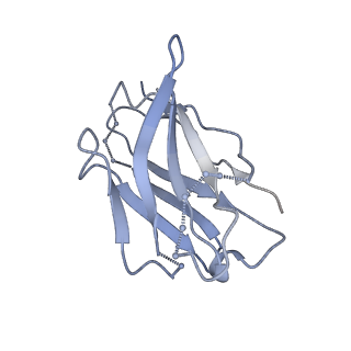 8936_6dzm_I_v2-0
Bundibugyo virus GP (mucin-deleted) in complex with pan-ebolavirus human antibody ADI-15878 Fab
