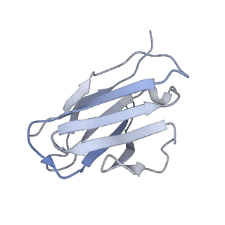 8936_6dzm_K_v1-2
Bundibugyo virus GP (mucin-deleted) in complex with pan-ebolavirus human antibody ADI-15878 Fab