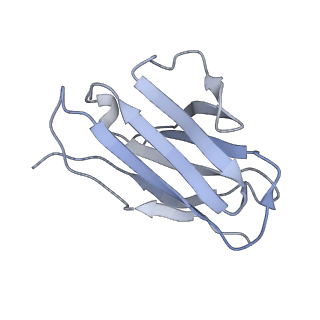 8936_6dzm_L_v1-2
Bundibugyo virus GP (mucin-deleted) in complex with pan-ebolavirus human antibody ADI-15878 Fab