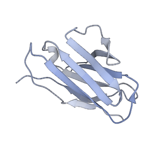 8936_6dzm_L_v2-0
Bundibugyo virus GP (mucin-deleted) in complex with pan-ebolavirus human antibody ADI-15878 Fab