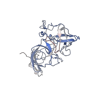 8937_6dzp_C_v1-2
Cryo-EM Structure of Mycobacterium smegmatis C(minus) 50S ribosomal subunit